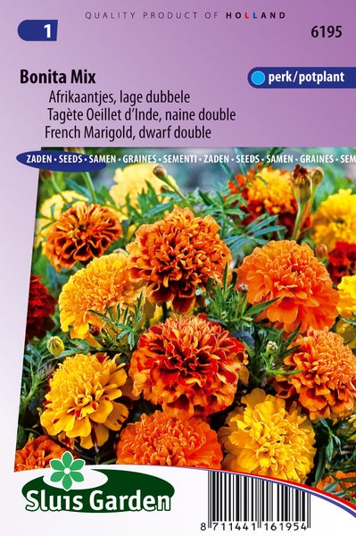 Samenpackung niedrige, gefüllte Tagetes Bonita Mix