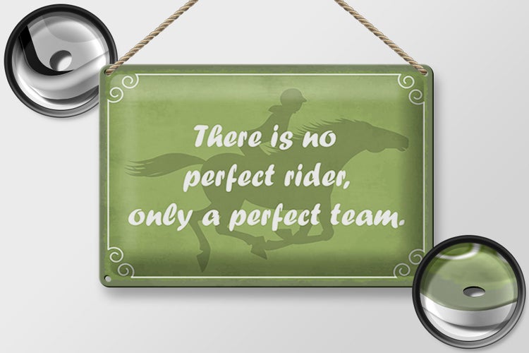 Blechschild Spruch 30x20cm there is no perfect rider only