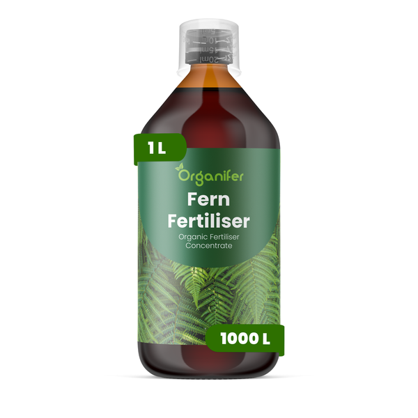 Fern Flüssigdünger 1L – 3-4-3 NPK - Flüssigdünger Für Farne – Für Gesunde Blätter & Üppiges Wachstum – Fördert Wurzeln & Vitalität – Organifer