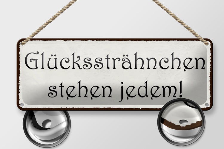 Blechschild Spruch 27x10cm Glückssträhnchen stehen jedem Dekoration