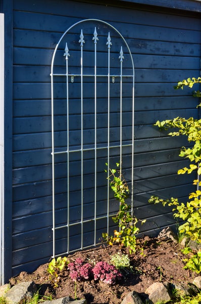 Wandgitter Edera Metall 168,5 x 79 cm feuerverzinkt
