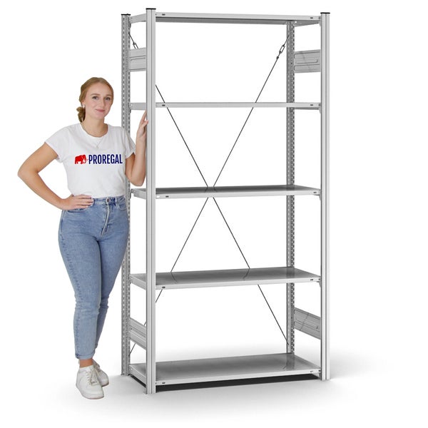 PROREGAL Profi Lagerregal Stecksystem T-Profil Grundregal HxBxT 200 x 100 x 40 cm Fachlast 125 kg Verzinkt