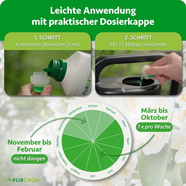 Anwendungshinweise und Düngeplan für Purgrün Flüssigdünger mit Dosierkappe, visualisiert in Schritten und als Jahresübersicht.