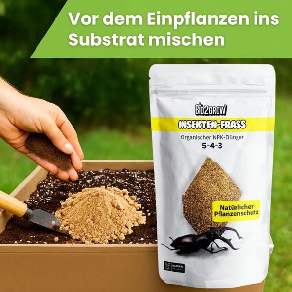 Anwendung von Bio2Grow Insekten-Frass NPK-Dünger im Pflanzensubstrat.