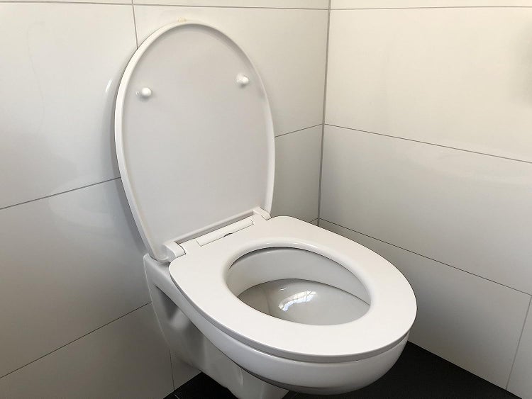 WC Sitz La Dolce Vita mit Absenkautomatik, zur Reinigung abnehmbar