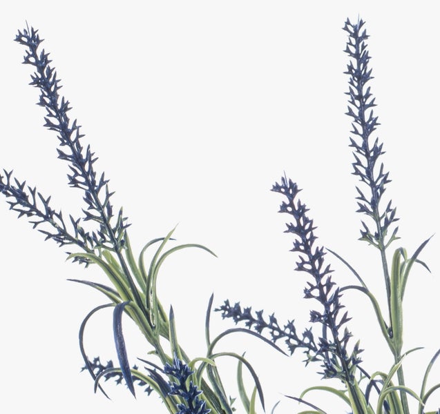 Künstliche Aloe Vera Pflanze im schwarzen Topf.