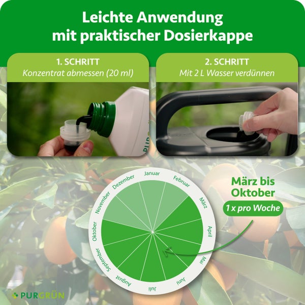 Dünger Anwendung: 20 Milliliter Konzentrat mit 2 Liter Wasser mischen. Anwendung März bis Oktober einmal wöchentlich. Purgrün Logo.