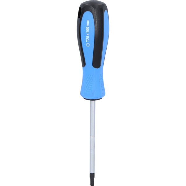 BRILLIANT TOOLS Schraubendreher TORX T25 x 100 mm - BT031014