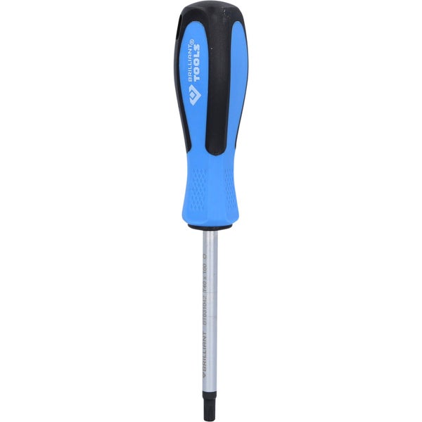 Schraubendreher mit Kunststoffgriff