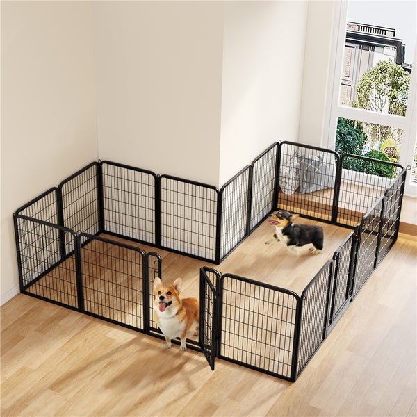 Zwei Hunde in einem flexiblen, schwarzen Metallgitter-Laufstall in einem Raum