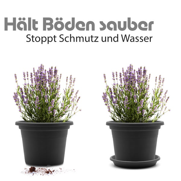 T BigDean 20 Stück Blumentopf Untersetzer Ø 16,5 cm in Anthrazit – Topfuntersetzer aus robustem Kunststoff & Made in Europe