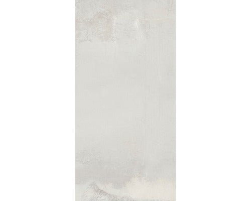 Wand- und Bodenfliese Abita argento 30X60cm