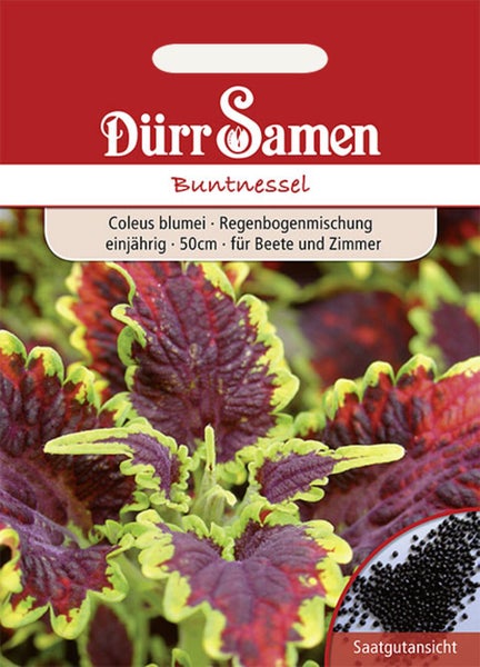 Dürr Samen Logo. Samentüte Buntnessel Regenbogenmischung, Coleus blumei, einjährig, Höhe circa 50 Zentimeter, für Beete und Zimmer.