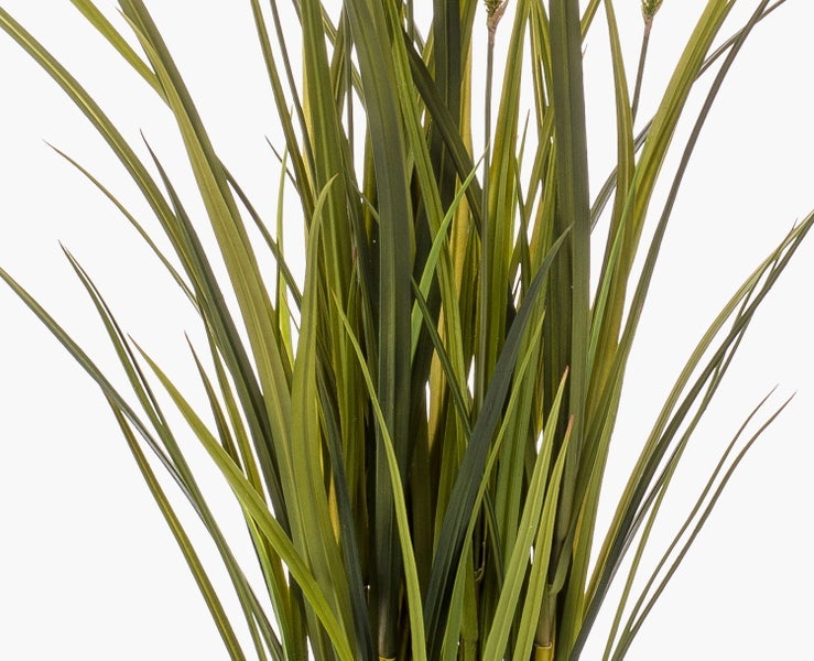 Künstliche Graspflanze in einem schwarzen Kunststofftopf.