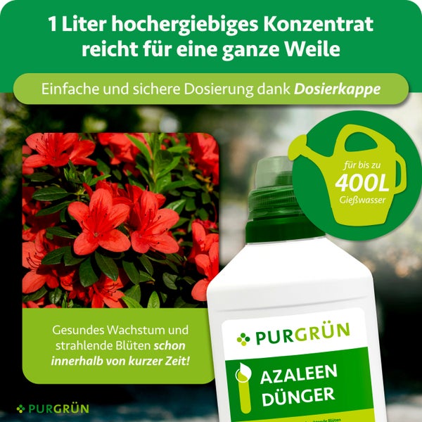 Anleitung für Dünger: 5 Milliliter Konzentrat abmessen, mit 1 bis 2 Liter Wasser verdünnen. Düngekalender für Zimmerazaleen. Purgrün Logo.