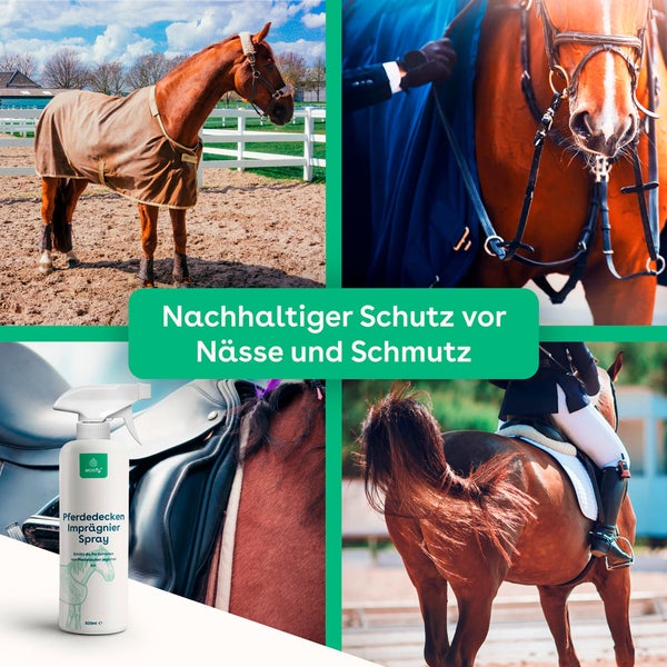 eco:fy Pferdedecken Imprägnierspray • Spray-On Imprägnierung, Imprägniermittel