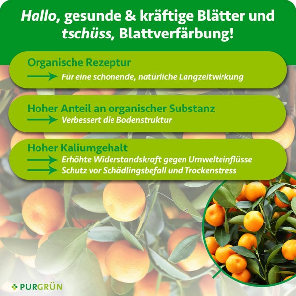 Infografik für Purgrün Pflanzendünger: Vorteile wie organische Rezeptur, Verbesserung der Bodenstruktur und hoher Kaliumgehalt für gesunde Blätter.