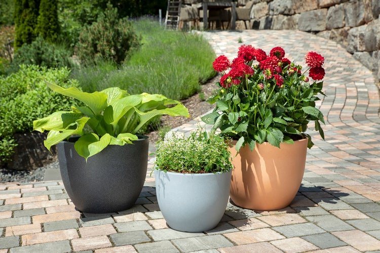 Scheurich Firenze 40, Pflanzgefäß/Blumentopf/Pflanzkübel, rund,  aus Kunststoff Farbe: Terracotta, 39,6 cm Durchmesser, 30,7 cm hoch, 24 l Vol.