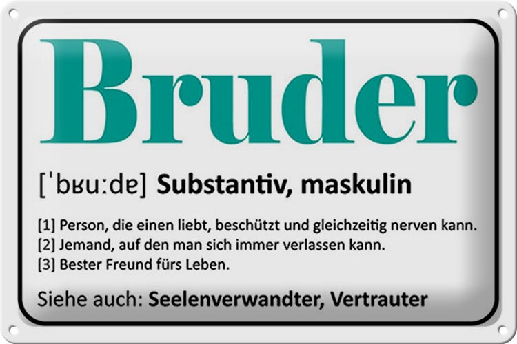 Blechschild Spruch 30x20cm Bruder Person die einen liebt