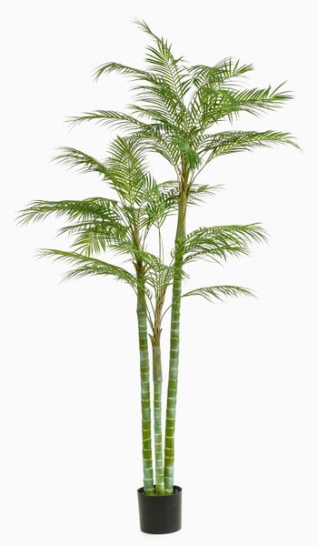 Deko Areca Palme Akane, 200cm - Kunststoff Palme