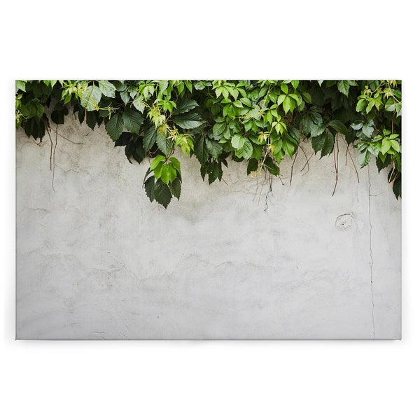Wandbild mit einer Steinmauer und herabhängenden Weinblättern als Motivdruck