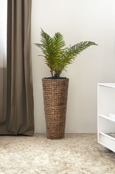 Hoher, geflochtener Pflanzkübel mit einer Palme in einem hellen, organisierten Raum neben einem Vorhang und einem Regal.