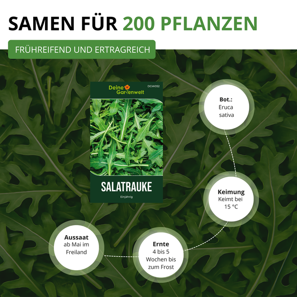 Infografik für Salatrauke Samen von Deine Gartenwelt. Enthält Samen für 200 Pflanzen, frühreifend, Keimung bei 15 Grad Celsius, Aussaat ab Mai.