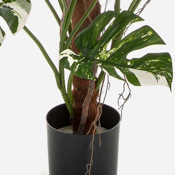 Kunstpflanze Philodendron Monstera Deliciosa Variegata MEBSUTA, grün-weiß, 160cm - Deko Philodendron