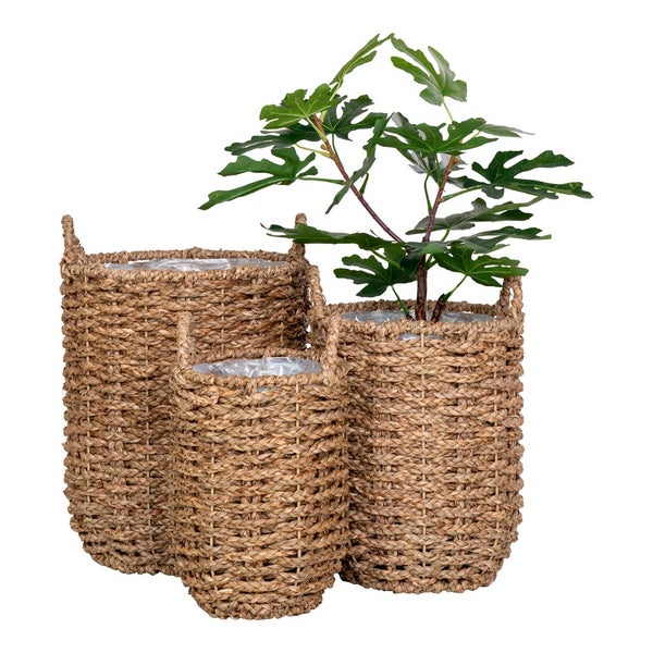 Hue Pflanzenschutz Satz von 3 Stk. Garten natur. 31 X 49 X 37 cm
