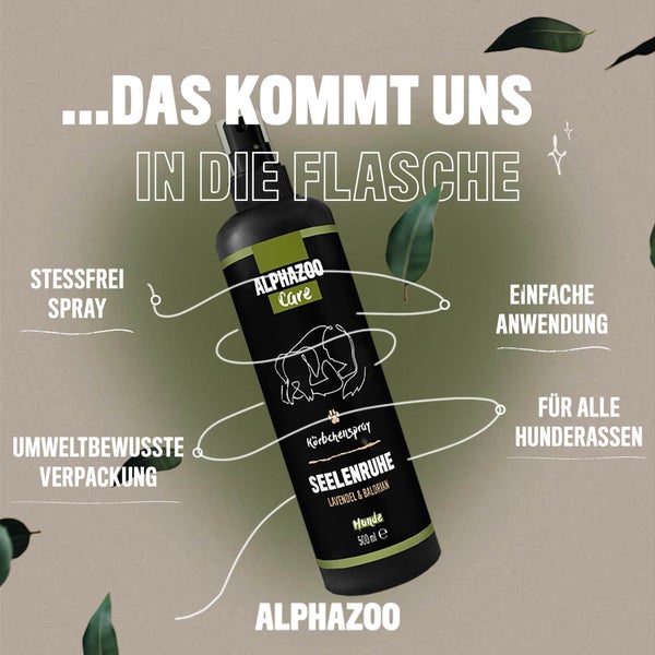 ALPHAZOO Seelenruhe Beruhigungsspray 200ml für Hunde I Beruhigungsmittel mit Baldrian