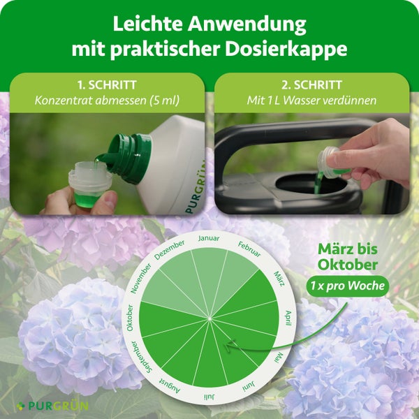 Purgrün Logo. Anwendung: 5 Milliliter Konzentrat in Dosierkappe abmessen, mit 1 Liter Wasser verdünnen. März bis Oktober einmal wöchentlich.