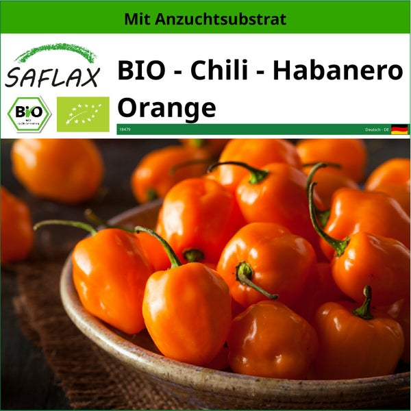 SAFLAX  - BIO - Chili - Habanero Orange - Capsicum annuum - 20 Samen - Mit keimfreiem Anzuchtsubstrat