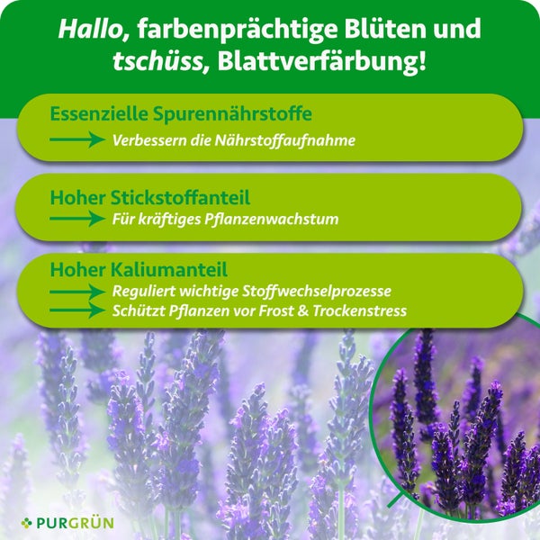 Infografik zu Pflanzendünger mit Vorteilen wie Spurennährstoffe, Stickstoff und Kalium für Wachstum und Widerstandskraft. Purgrün Logo.