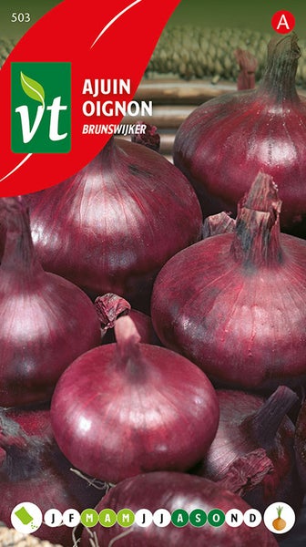 Rote Zwiebeln der Sorte Brunswijker