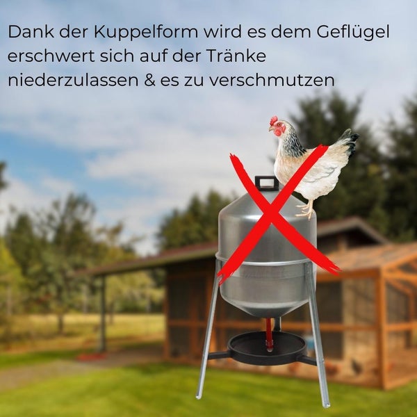 30 L Metall Automatische Geflügel Wasser Siphon Hühner Vorrats Tränke Verzinkt