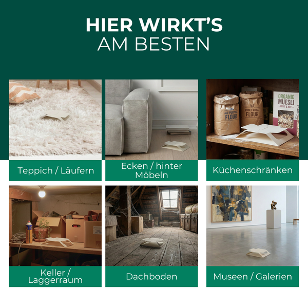 Produktplacements in verschiedenen Umgebungen: Teppich, hinter Möbeln, Küchenschränke, Keller, Dachboden, Museum
