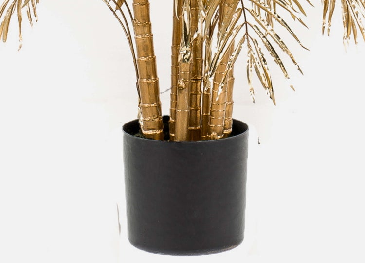 Künstliche Forellenbegonie mit gepunkteten Blättern und roter Blattunterseite.