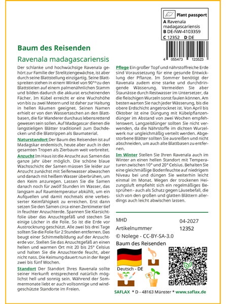 SAFLAX Garden to go - Baum des Reisenden - Ravenala madagascariensis - 8 Samen - Mit Topf, Klima - Deckel und Anzuchtsubstrat