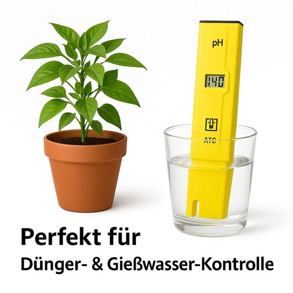 Pflanze im Topf und pH-Messgerät im Wasserglas zur Dünge- und Giesswasserkontrolle