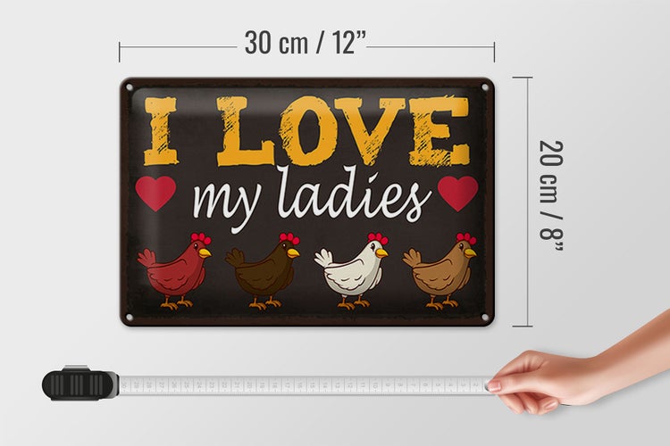 Blechschild Spruch 30x20cm Hühner i love my ladies