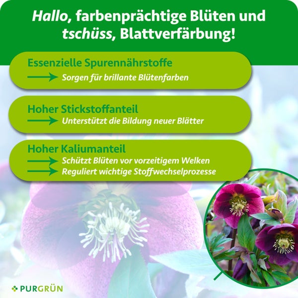 Infografik zu Pflanzendünger mit Blüten: Spurennährstoffe, Stickstoff für Blätter, Kalium gegen Welken. PURGRÜN Logo.