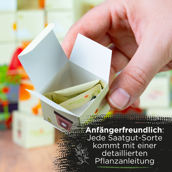 Hand hält eine kleine, geöffnete Pappschachtel mit einem Samentütchen und Hinweis auf eine detaillierte Pflanzanleitung für Anfänger.