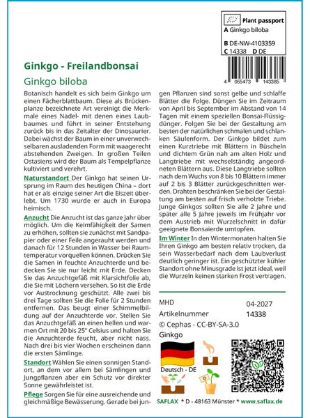 SAFLAX  - Ginkgo - Ginkgo biloba - 4 Samen