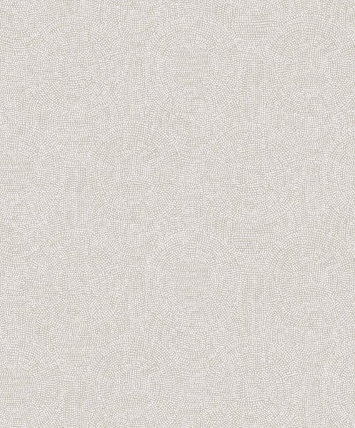 Fahrradanhänger mit zwei Kindern und einer Frau im Freien.