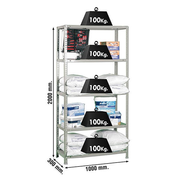 Schraubregal PANDA TALL | HxBxT 200x100x30cm | 5 Fachböden | Fachlast 100kg | Grau
