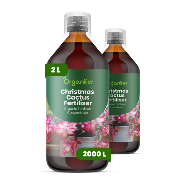 Organifer Weihnachtskaktus Dünger, organisches Düngerkonzentrat, 2 Liter Flasche.