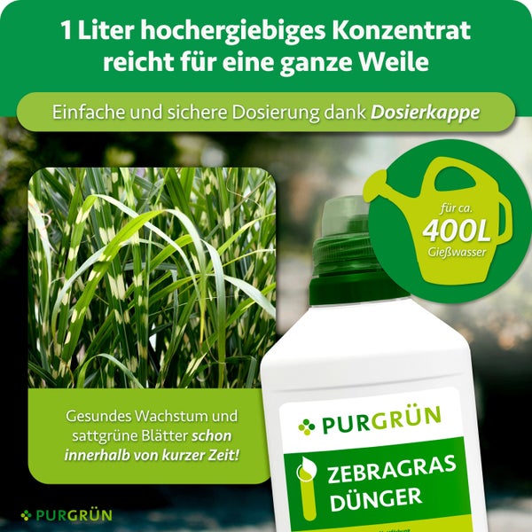 Purgrün Zebragras Dünger Konzentrat 1 Liter für gesundes Wachstum und tiefgrüne Blätter in einer Kunststoffflasche mit Dosierkappe