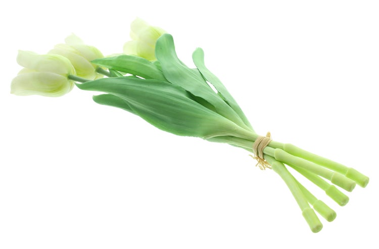 FRANK FLECHTWAREN|Tulpe Weiß, 5er Set, Höhe 34 cm , KUNSTSTOFF, PAPIERSCHNUR