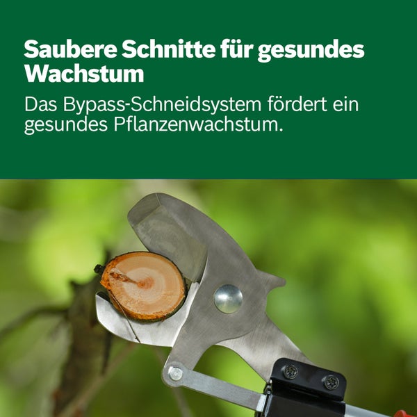 Bosch Akku-Gartenschere AdvancedPrune 18V-45 1 x Akku PBA 18V 2,0Ah - 06008C5000