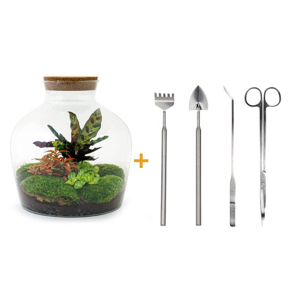 Flaschengarten Fat Joe ROT DIY-Pflanzen-Terrarium 30cm incl. Rechen, Schaufel, Pinzette und Schere